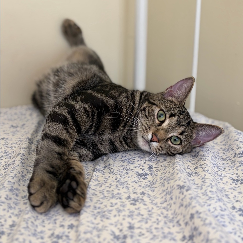 Closet Clean out 3/22—Thank You!!!!